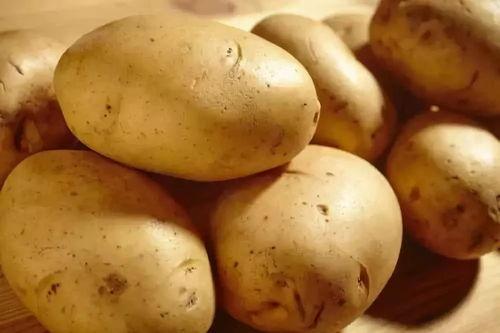 土豆豆爆料科普视频大全,揭秘生活奥秘,畅游知识海洋 第2张 土豆豆爆料科普视频大全,揭秘生活奥秘,畅游知识海洋 第2张