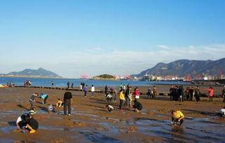 连云港墟沟最新爆料,揭秘墟沟发展新篇章  第2张